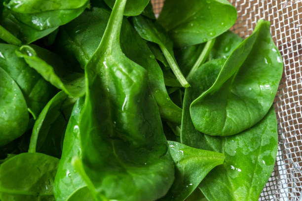 istock fresh young spinach leaves in a sieve close up 861857248