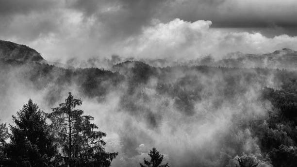 istock Black and white bohemian Switzerland 861857488