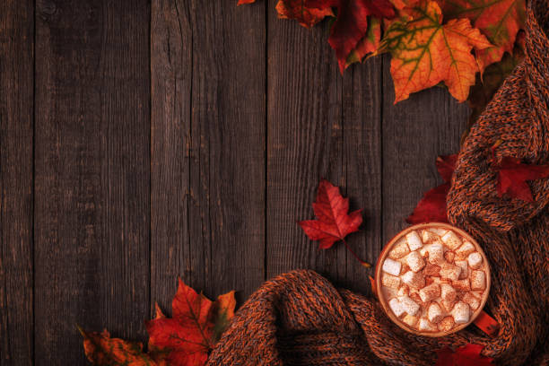 istock Autumn background with hot chocolate, knitted scarf, multi-colored leaves. 861857946