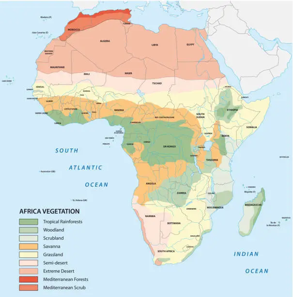 Vector illustration of afrika vegetation map
