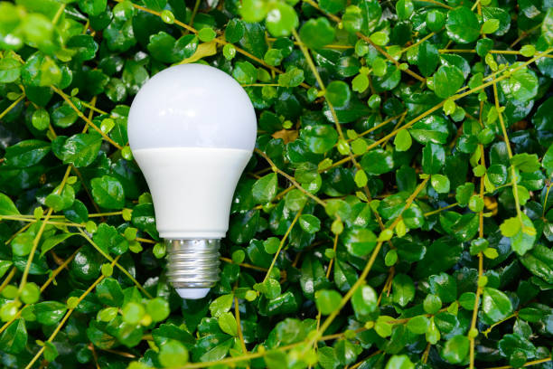 istock LED bulb and lighting in the nature for saving energy concept 861864958