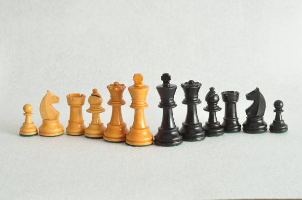 istock The different chess pieces isolated on a white background 861871842