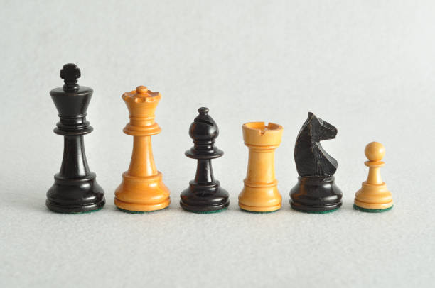istock The different chess pieces isolated on a white background 861872126