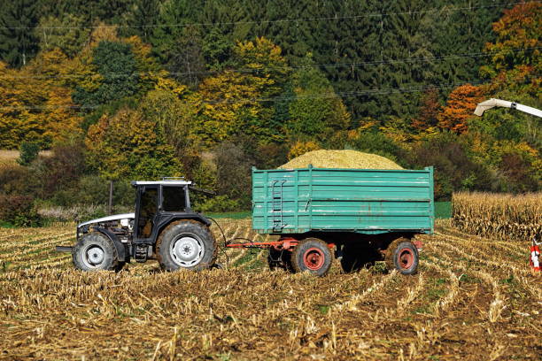 istock Bavaria Germany. Corn crop at a village nearby Munich. 861873400