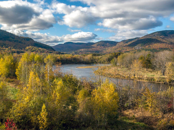 istock Autumn in the forest 861873958