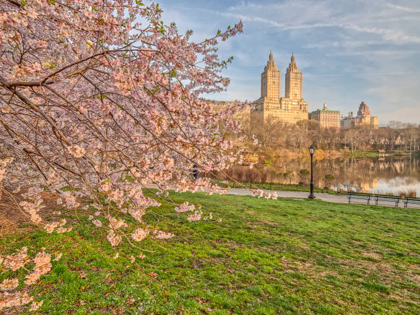 istock Central Park, New York City spring 861876396