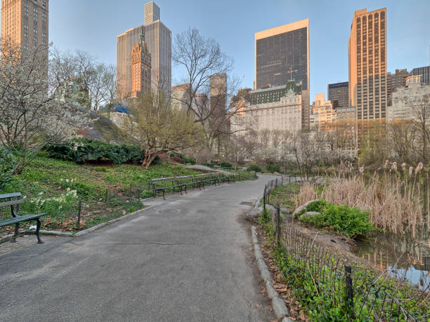 istock Central Park, New York City spring 861876598