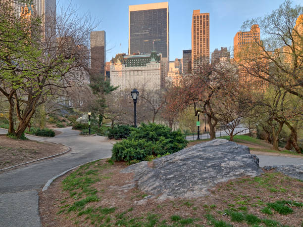istock Central Park, New York City spring 861876628