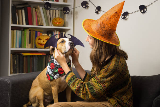 istock Girl dressing up her dog in halloween bat costume 861876830