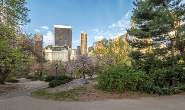 istock Central Park, New York City spring 861879352