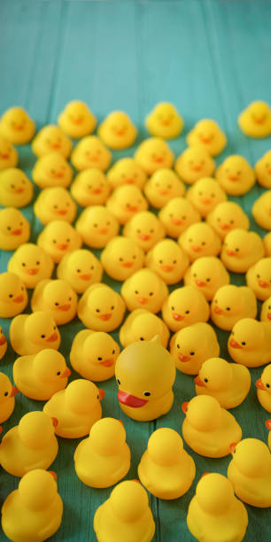 istock One strange yellow alien rubber duck surrounded 861883772