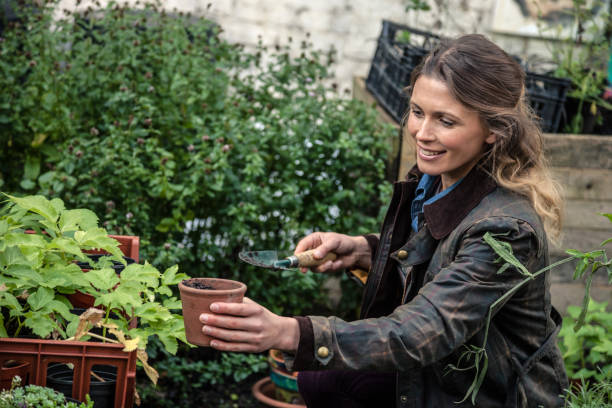istock Gardening in a city farm 861888006