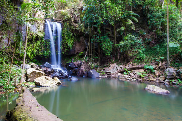 istock Mount Tambourine, SE Queensland 861895554
