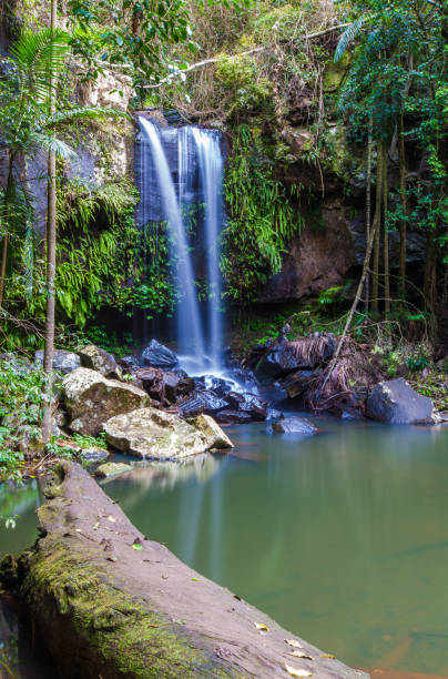 istock Mount Tambourine, SE Queensland 861899142