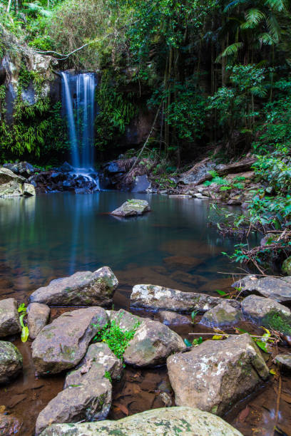 istock Mount Tambourine, SE Queensland 861899640