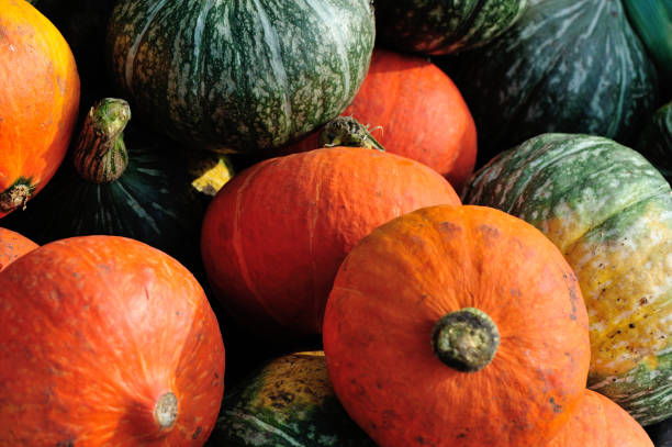 istock fresh pumpkin selling at vegetable market 861902856