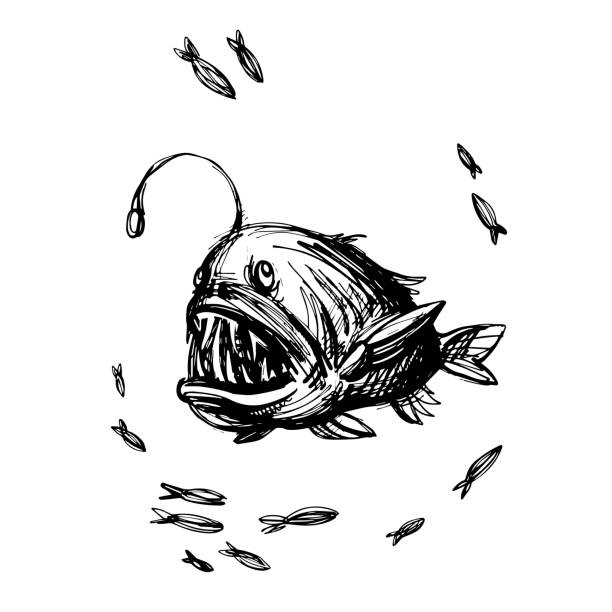 illustrations, cliparts, dessins animés et icônes de handsketched lotte vector illustration - anglerfish sea fish underwater