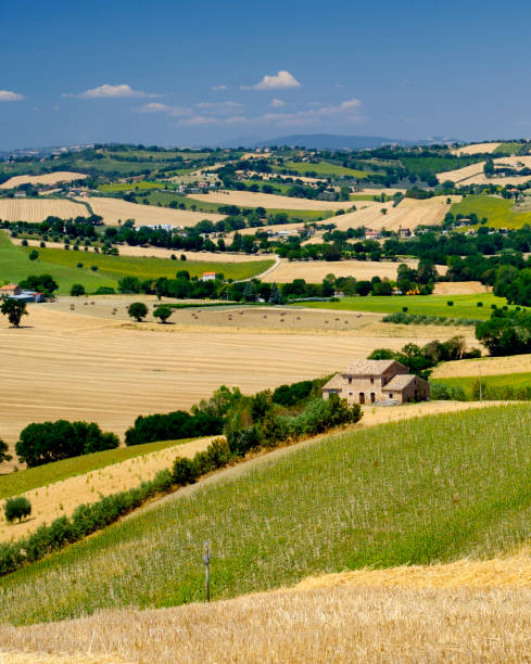 istock Summer landscape in Marches (Italy) near Ostra 861910248