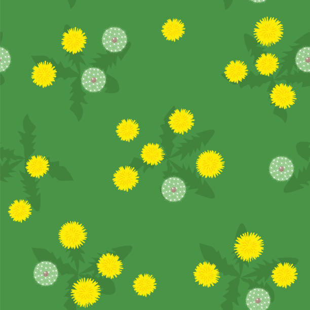 Summer bright yellow and white dandelions seamless pattern vector art illustration