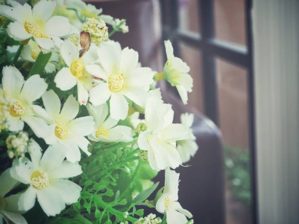 Beautiful bouquet of white Persian lilac in a glass vase on a white windowsill