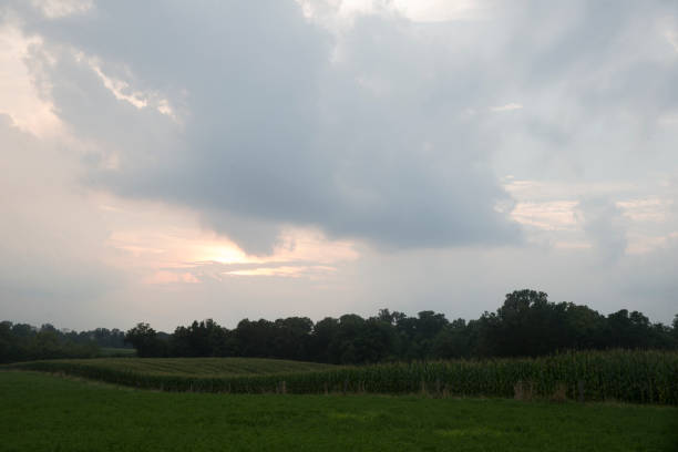istock Cloudy sky over Indiana cornfield at sunset 861923094