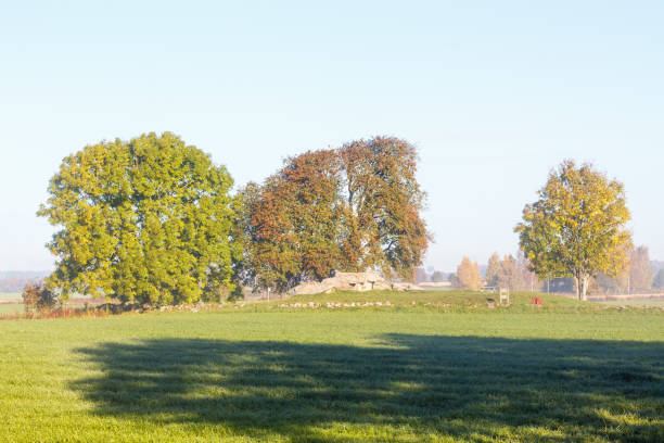 istock Old Megalith grave from the Stone Age on a hill 861925996