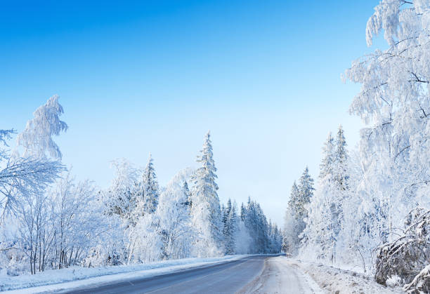 istock Russian winter forest road in snow and ice 861930638