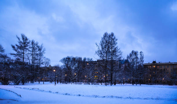 istock City Park in winter 861931000