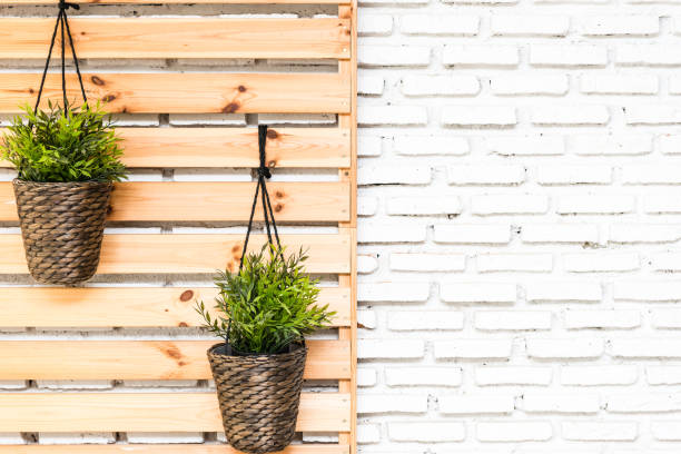 Spring flower hanging on wood wall on background white brick wall. For background, wall paper, presentation, power point spring, summer holiday visual communication design concept