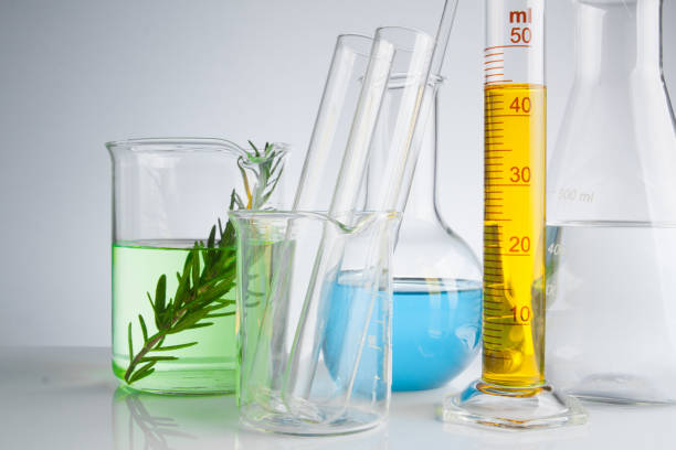istock herbal medicine natural organic and scientific glassware, Research and development concept. 861931492