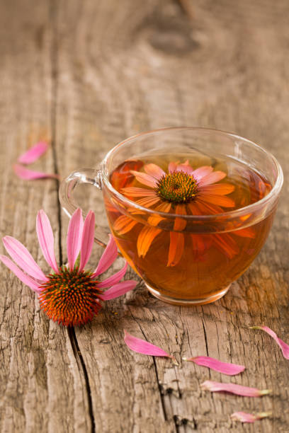 istock Cup of echinacea tea on old wooden table 861934524