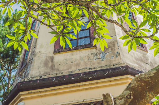 Stately historical buildings nestled in a serene garden setting in Lisbon, Portugal, exuding timeless charm and rich architectural heritage.