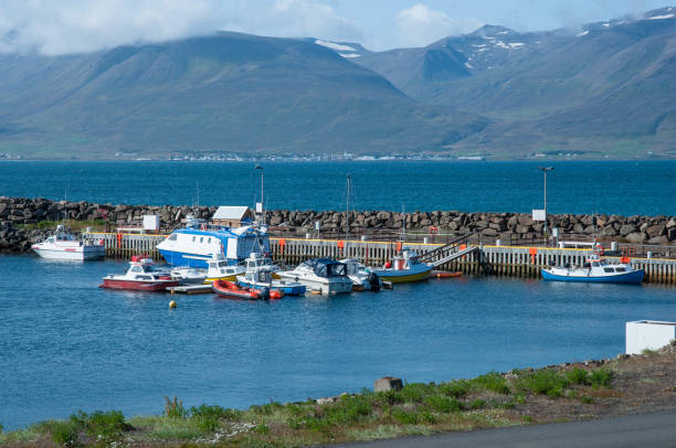 istock Island of Hrisey in Iceland 861938366