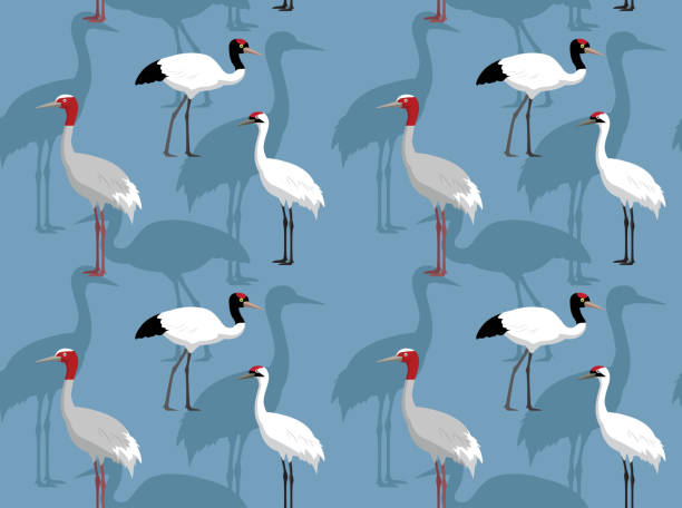 ilustrações, clipart, desenhos animados e ícones de sarus grou americano cartoon wallpaper sem emenda - sandhill crane