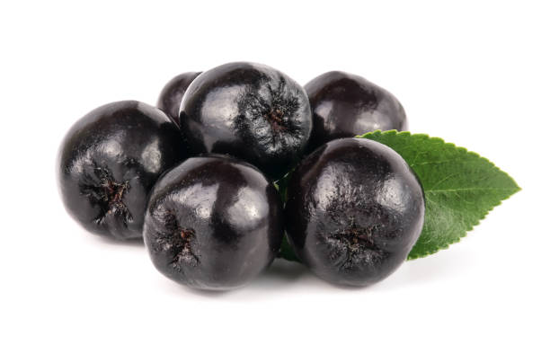 istock Chokeberry with leaf isolated on white background. Black aronia berries 861948334