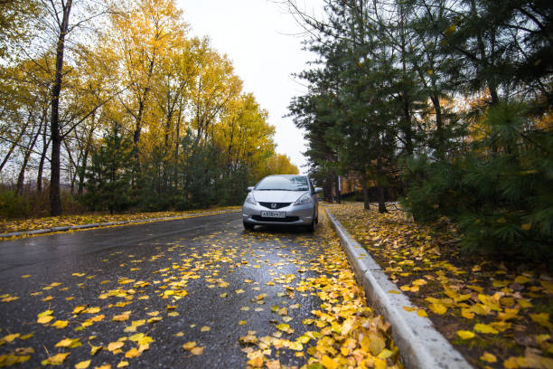 An autumn day with a lot of foliage covering cars in a parking lot.