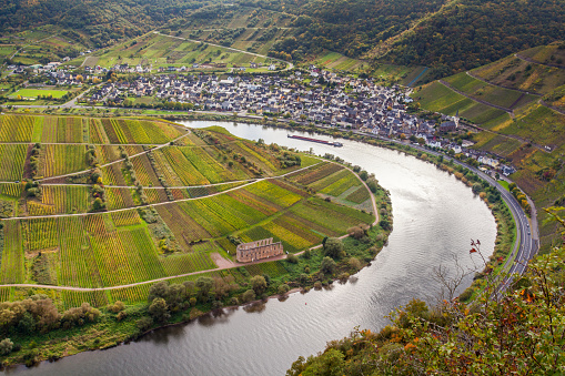 Autumnal Moselle and vinyards landscape at Bremm Calmont region Germany