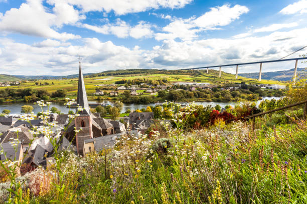 istock Moselle hiking trails landscape through the Wine village Uerzig Germany 861958708