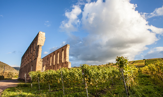 Monastery ruin Suben and Moselle vineyards  Germany in the autumn