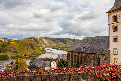 Autumn Colorful Moselle  Landscape in the village Bremm Germany