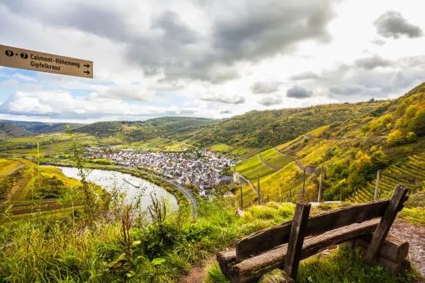 Photo of Moselle Autumn golden vineyards Landscape  view  from  Calmont Klettersteig  Bremm Germany