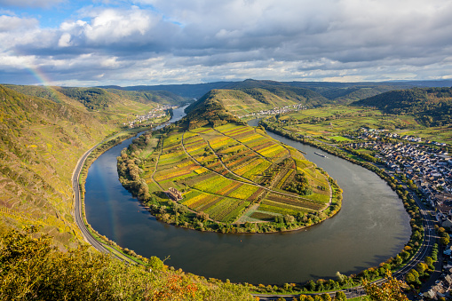 Calmont Moselle loopLandscape in golden autumn colors and the village Bremm