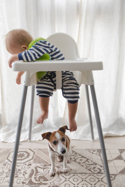 istock Cute boy and dog under high chair 861962886