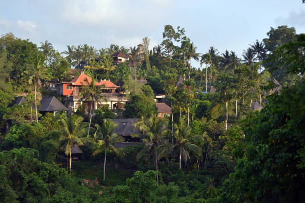istock The view around Campuhan ridge in Ubud, Bali. A nice track with relaxing view 861963066