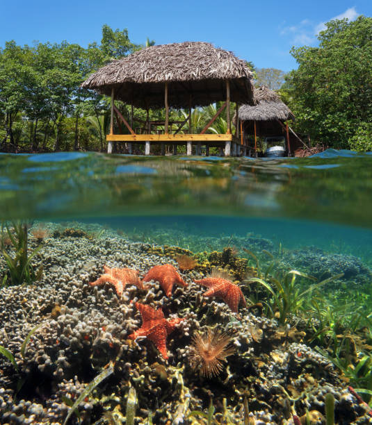 istock Tropical hut over water and starfish underwater 861963238