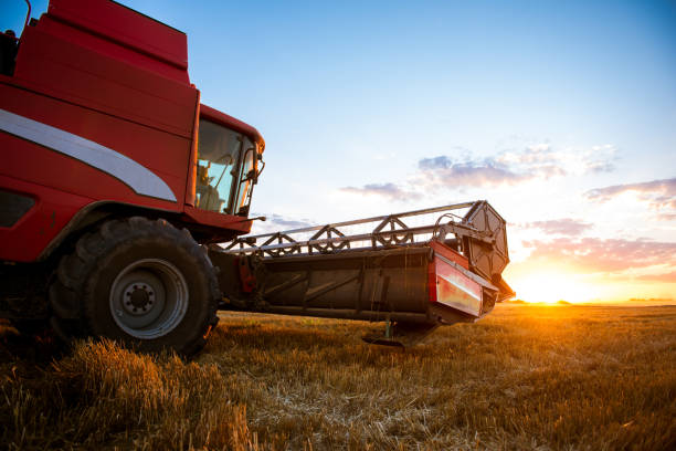 istock Harvesting the field of wheat 861966388