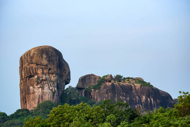 istock Landscape Yala National Park, Sri Lanka 861966460