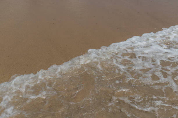 istock Sea foam and sand in Brazil 861969852