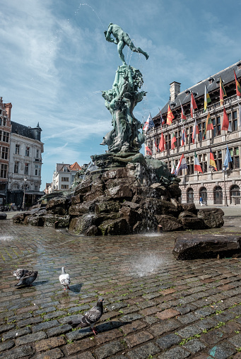 Pigeons in front of the statue of Silvius Brabo on the main square of Antwerp, Friday 21 July 2017, Antwerp, Belgium.