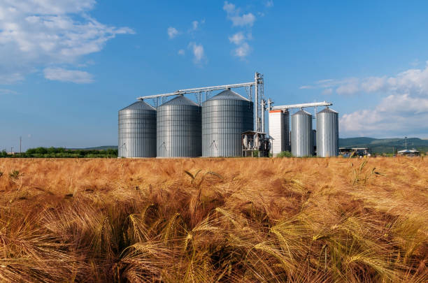 istock Farm, barley field with grain silos for agriculture 861979082